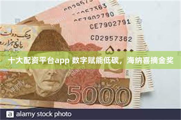 十大配资平台app 数字赋能低碳，海纳喜摘金奖