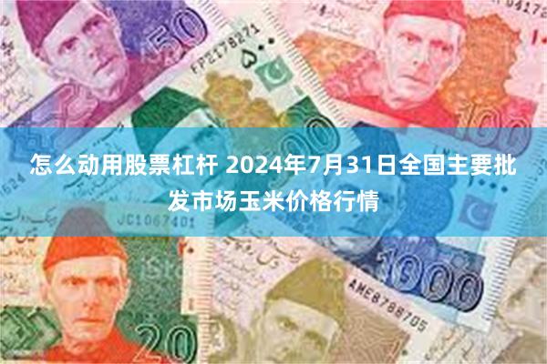 怎么动用股票杠杆 2024年7月31日全国主要批发市场玉米价格行情