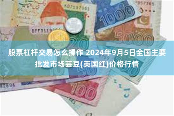 股票杠杆交易怎么操作 2024年9月5日全国主要批发市场芸豆(英国红)价格行情