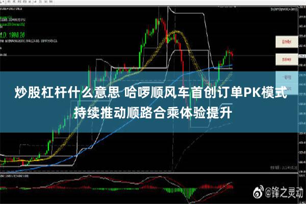 炒股杠杆什么意思 哈啰顺风车首创订单PK模式 持续推动顺路合乘体验提升