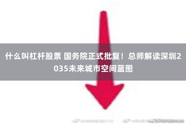 什么叫杠杆股票 国务院正式批复！总师解读深圳2035未来城市空间蓝图