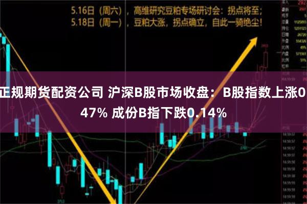 正规期货配资公司 沪深B股市场收盘：B股指数上涨0.47% 成份B指下跌0.14%