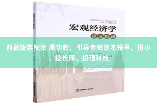 西藏股票配资 潘功胜：引导金融资本投早、投小、投长期、投硬科技