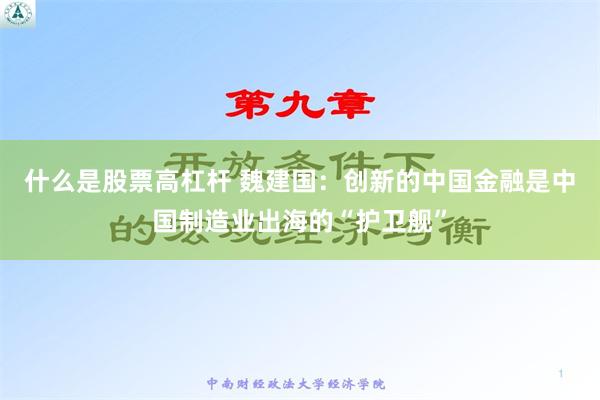 什么是股票高杠杆 魏建国：创新的中国金融是中国制造业出海的“护卫舰”