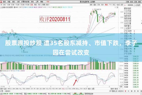 股票跟投炒股 遭35名股东减持、市值下跌，李子园在尝试改变