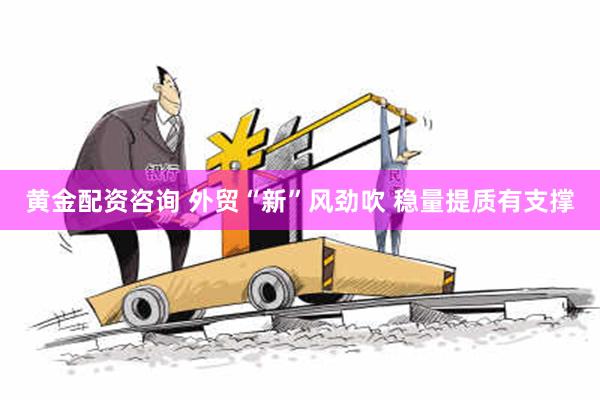 黄金配资咨询 外贸“新”风劲吹 稳量提质有支撑