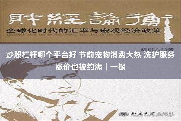 炒股杠杆哪个平台好 节前宠物消费大热 洗护服务涨价也被约满｜一探